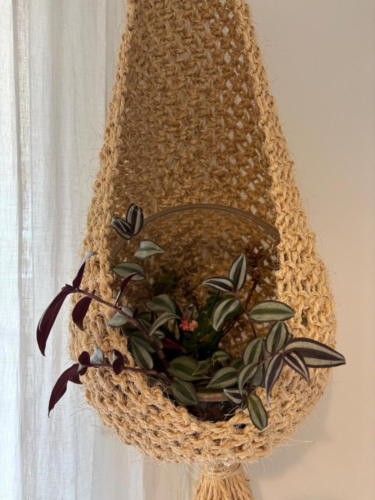 Apartment Oasis *